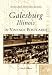 Galesburg, Illinois in Vintage Postcards (Postcard History Series)