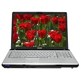 Toshiba Satellite P205-S6297 17-inch Laptop (Intel Core 2 Duo Processor T5500, 2 GB RAM, 250 GB Hard Drive, SuperMulti DVD Drive, Vista Premium)
