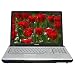 Toshiba Satellite P205-S6297 17-inch Laptop (Intel Core 2 Duo Processor T5500, 2 GB RAM, 250 GB Hard Drive, SuperMulti DVD Drive, Vista Premium)