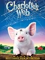 play video on Amazon Instant Video