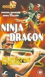 Review Synergy  / Ninja Dragon [1986]