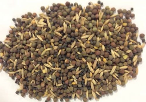 Spring Cover Crop Seed Mix, 5 Lbs. Spring Cover Crop Seed Mix, 5 Lbs.