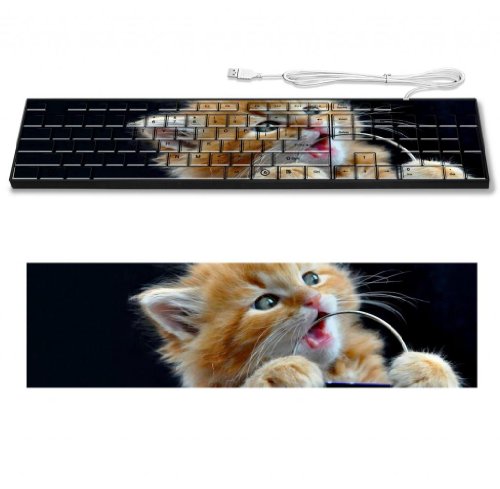 Orange White Kitty Funny Expression Keyboard Customized Made to Order Support Ready 16 7/8 inch (430mm) x 4 7/8 inch (125mm) x 15/16 inch (25mm) High Quality MSD Key board Boards desktop laptop Key_board comfortable computer accessories cute gaming gear