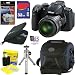 Nikon COOLPIX P520 18.1 MP CMOS Digital Camera with 42x Zoom and 