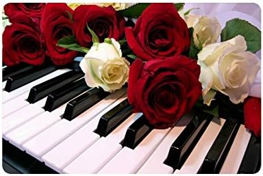 Piano Keys Custom Doormat Entrance Mat Floor Mat Rug Indoor/Outdoor/Front Door/Bathroom Mats Rubber Non Slip Size 23.6 x 15.7 inches