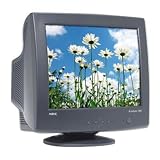 NEC AccuSync AS900-BK 19 CRT Monitor (Black)
