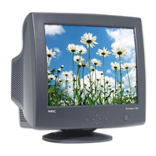 NEC AccuSync AS900-BK 19 CRT Monitor (Black)