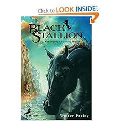 The Black Stallion