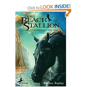 The Black Stallion
