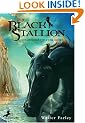 The Black Stallion