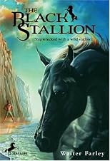 The Black Stallion