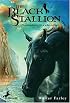 The Black Stallion