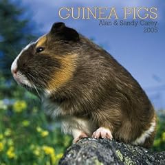 Guinea Pigs Wall Calendar 2005