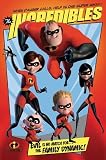 The Incredibles (Family Dynamic) Movie Poster Print - 24 X 36