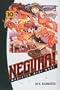 Negima!: Magister Negi Magi, Volume 10