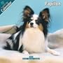 Papillon 2010 Wall Calendar 2010 Wall Calendar #10058-10
