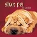 Shar Pei 2001 Calendar