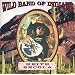 Wild Band of Indians