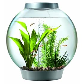 biOrb Aquarium Kit with Light Fixture