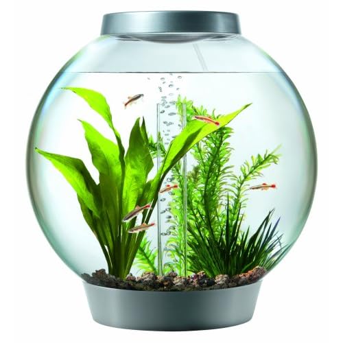 biOrb fish tank