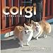Corgi Confessions