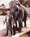 JIMMY DURANTE #6 - COLOUR Movie Photo - (4 Different Photograph & POSTER Sizes Available)