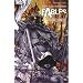 Fables: Homelands v. 6 (Fables S.)
