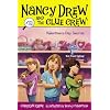 Valentine's Day Secret (Nancy Drew and the Clue Crew #12)