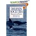 Dolphin Societies: Discoveries and Puzzles