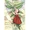 Discover Hidden Gems...Quality Books Appearing on PBS-Kids
