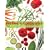Nutrition: An Applied Approach