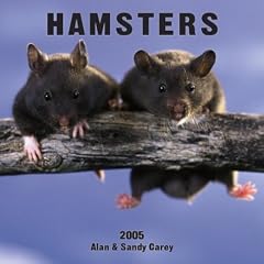 Hamsters Wall Calendar 2005