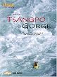 Into the Tsangpo Gorge