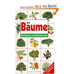 B�ume