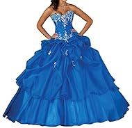 Organza Applique Evening Dress/Homecoming Dress/Bridesmaid Dress/Quinceanera Dress 