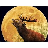 Poster 70 x 50 cm - "Hirsch oder Wolf?" von Pirmin Nohr - auch in anderen Gr��en und als Leinwandbild erh�ltlichvon "POSTERLOUNGE"