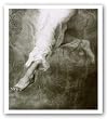 Descending Angel by John Wimberly 16"x18.06" Art Print Poster