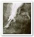 Descending Angel by John Wimberly 16"x18.06" Art Print Poster