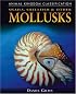 Snails, Shellfish, & Other Mollusks (Animal Kingdom Classification)