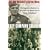 Easy Company Soldier: The Endless Combat of a Sergeant from World War II's 'Band of Brothers'