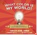 What Color Is My World?: The Lost History of African-American Inventors