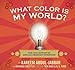 What Color Is My World?: The Lost History of African-American Inventors
