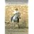 Dancing with Horses [DVD]