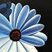 Aren, Floral Oil Paintings Original Hand Painted by artist Sebastian