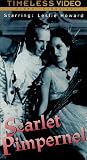 Scarlet Pimpernel