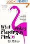 What Makes Flamingos Pink?: A Colorful Collection of Q & A's for the Unquenchably Curious