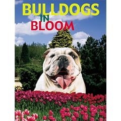 Bulldogs in Bloom