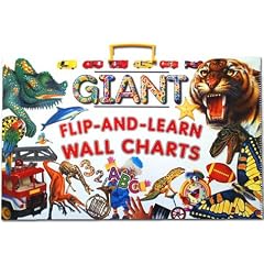 Giant Flip-and-Learn Wall Charts