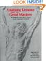 Anatomy Lessons of The Great Masters (Practical Art Books)