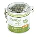 Adagio Teas Dragon Well, 4-Ounce Tins (Pack of 2)